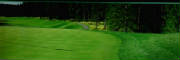 green_01.jpg