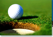 golfball.gif