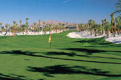 green-nirw.jpg